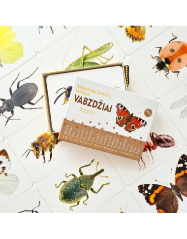 Mokomosios kortelės vaikams Vabzdžiai